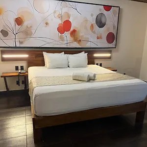 Hotel Kavia 5th Avenida (adults Only) Playa del Carmen